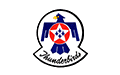 Logo 22