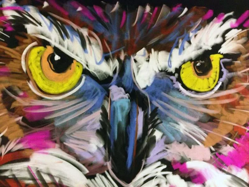 owl-01
